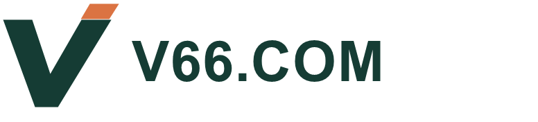 V66.COM品牌标识